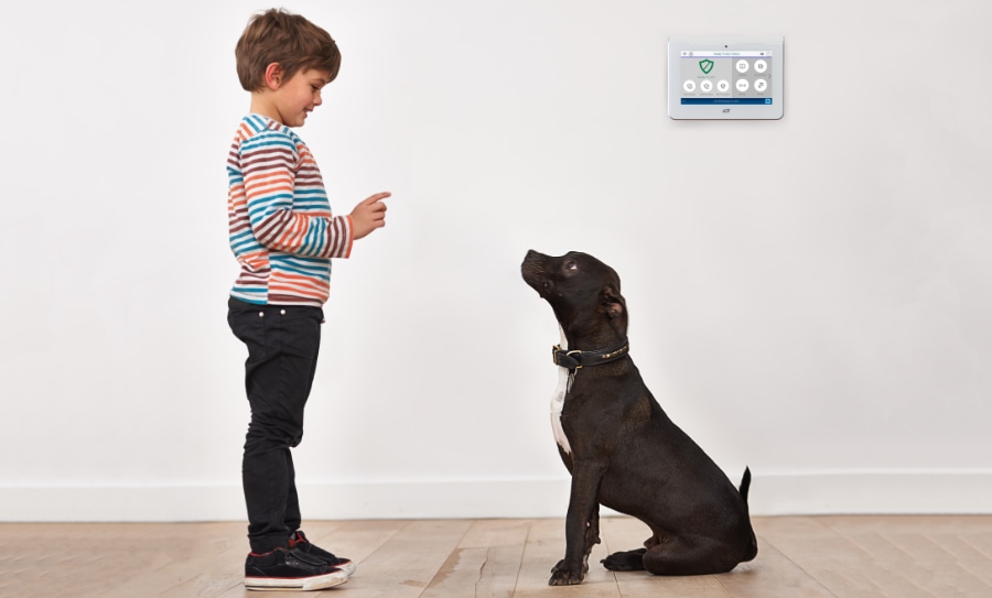 Palm Harbor security systems