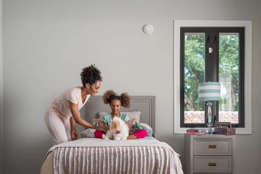 smoke & carbon detector St. Petersburg